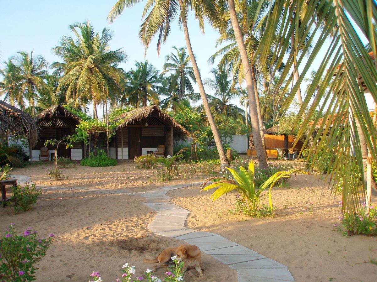 Stardust Beach Hotel Arugam Bay Exterior foto